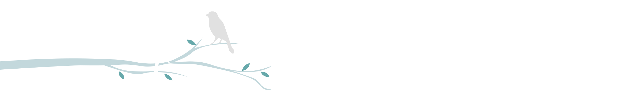 Two Birds Organizing